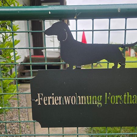 Ferienwohnung Forsthaus บาด โกรเนนบาค ภายนอก รูปภาพ